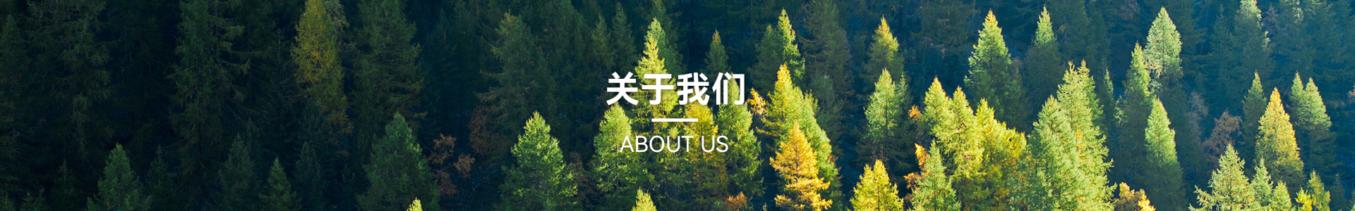 這是描述信息 這是描述信息